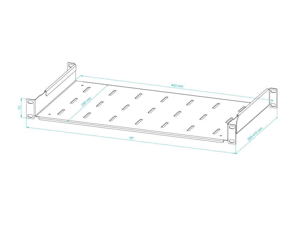 19" Adjustable Rack Shelf