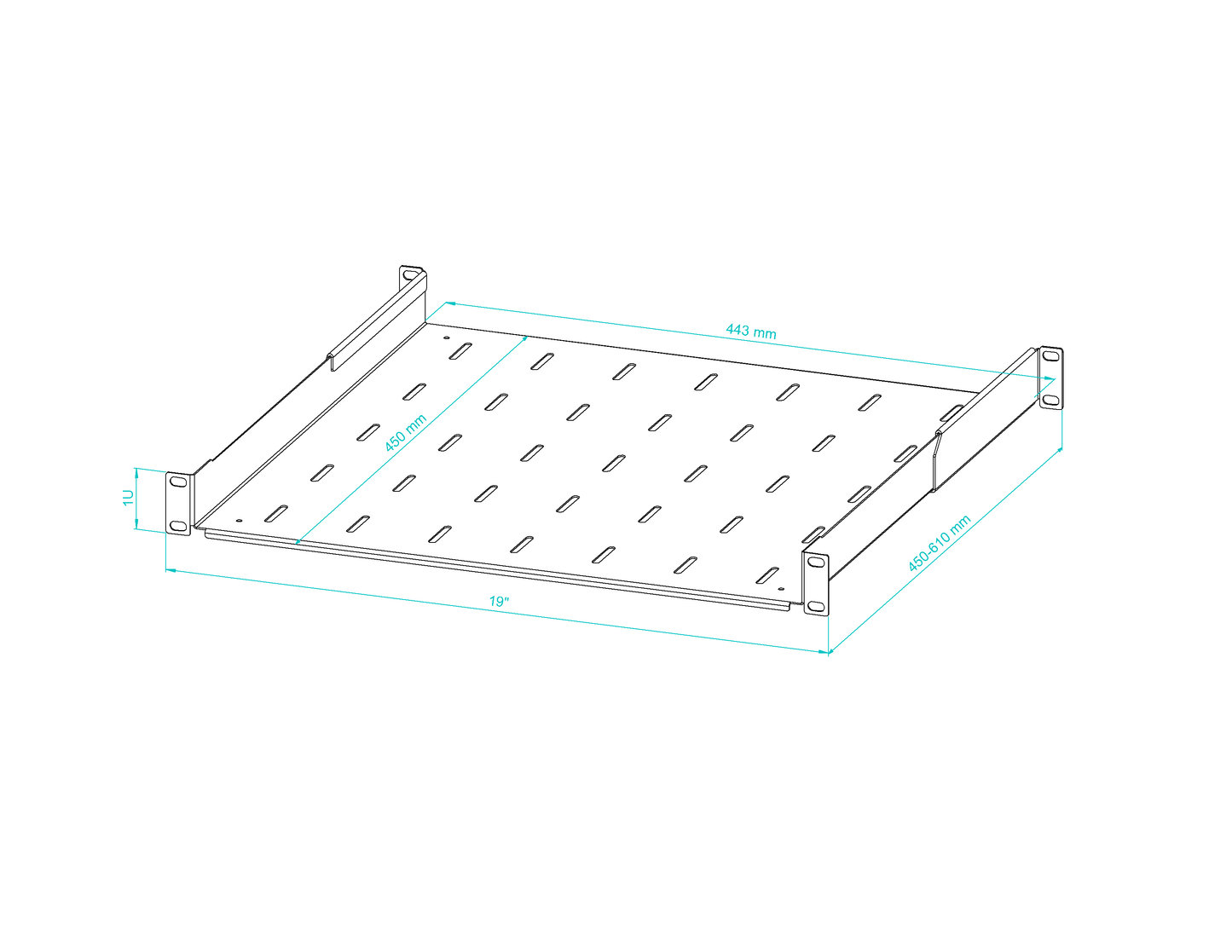 19" Adjustable Rack Shelf